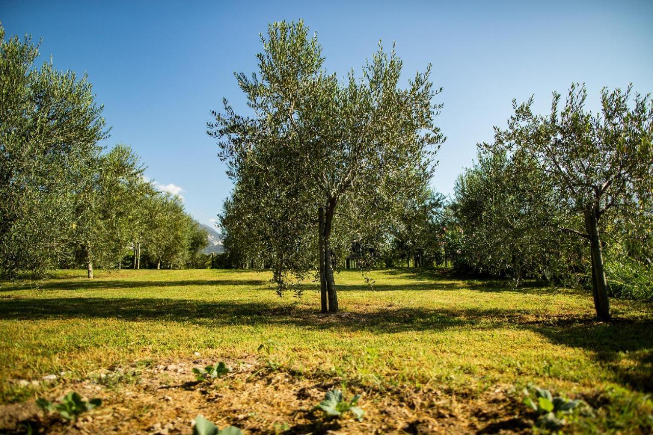 Agriturismo Casa Di Campagna Villa Riva del Garda Ngoại thất bức ảnh