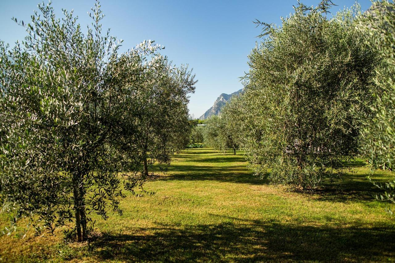 Agriturismo Casa Di Campagna Villa Riva del Garda Ngoại thất bức ảnh