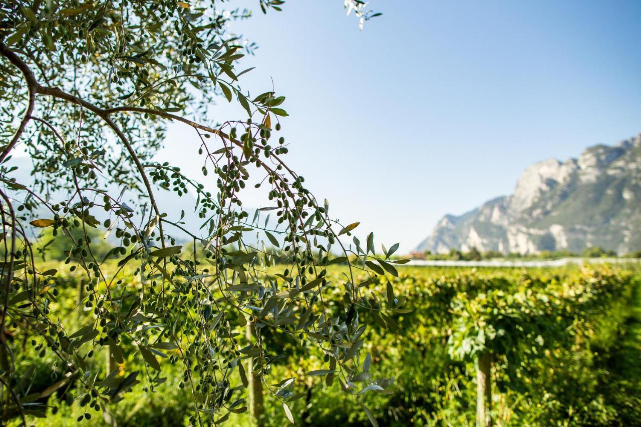 Agriturismo Casa Di Campagna Villa Riva del Garda Ngoại thất bức ảnh