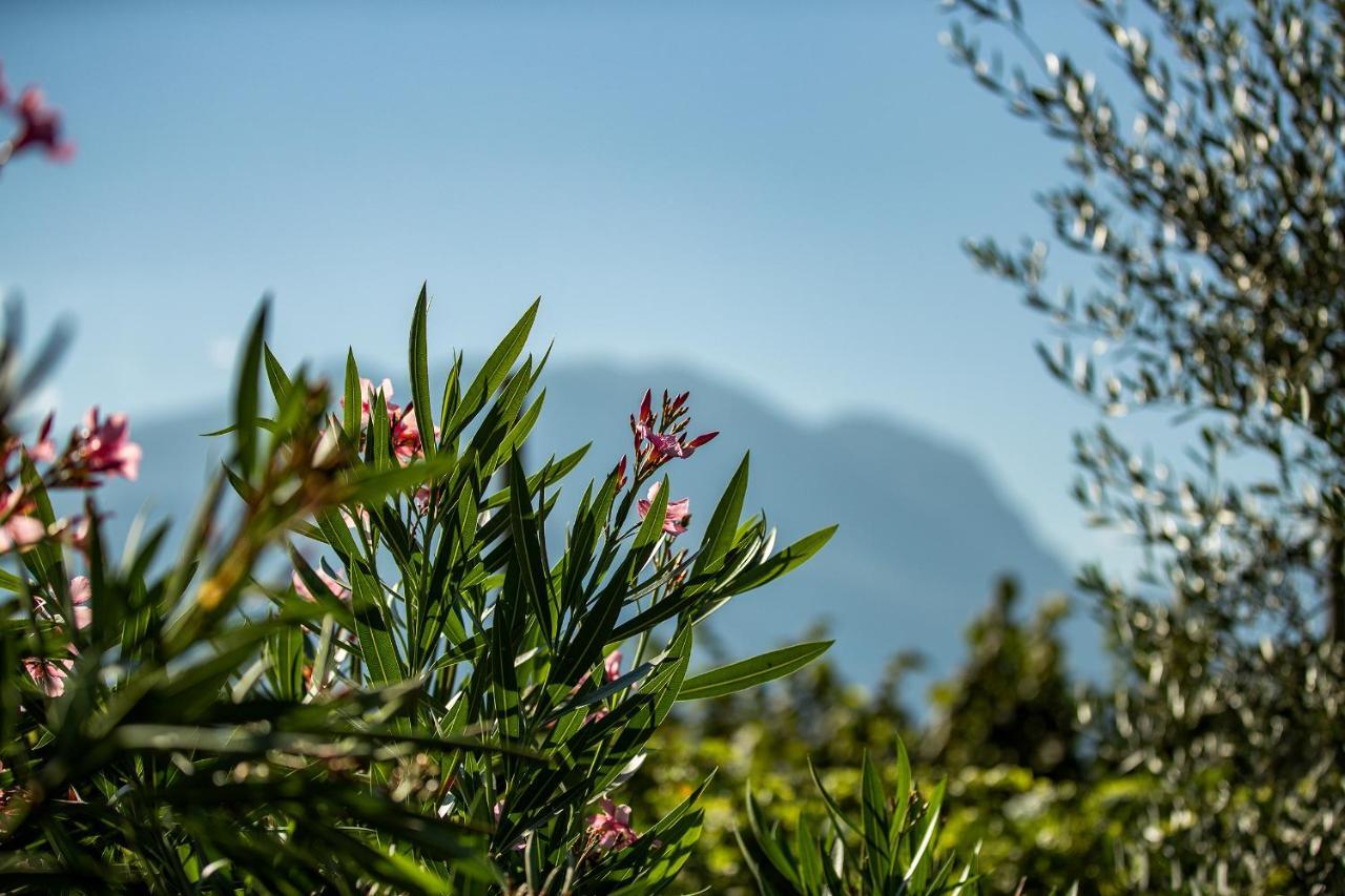 Agriturismo Casa Di Campagna Villa Riva del Garda Ngoại thất bức ảnh